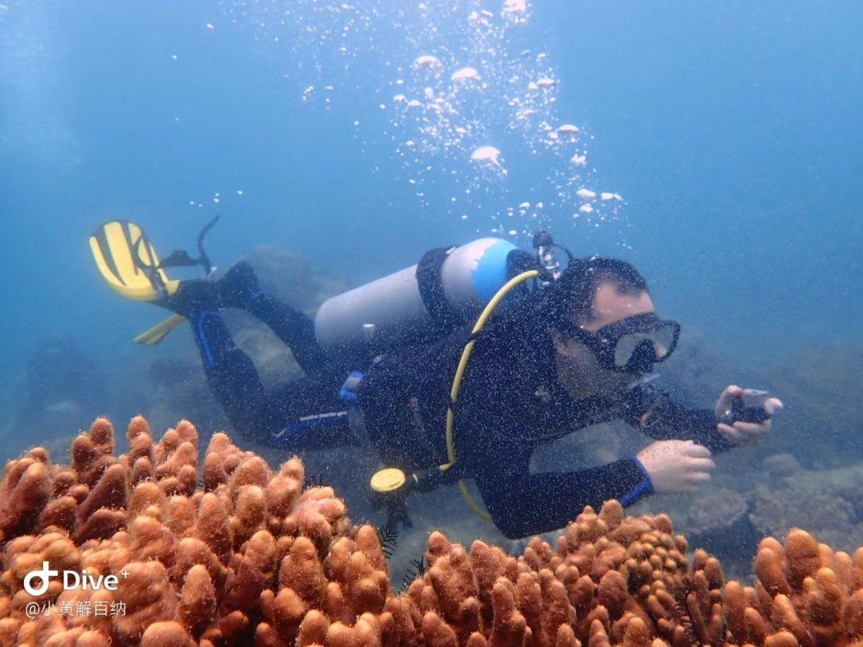 人鱼公主温泉疗养