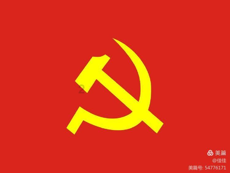 罗惠文：赣南林区的“森林医生”